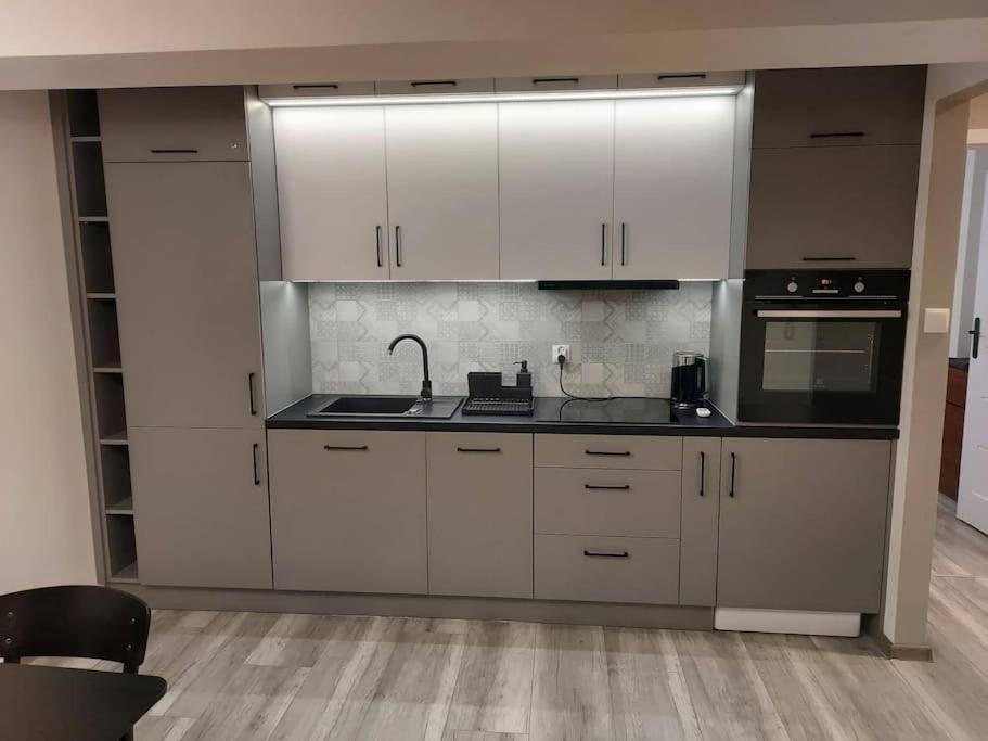 Uroczy Apartament W Scislym Centrum Gizycka Giżycko Eksteriør bilde